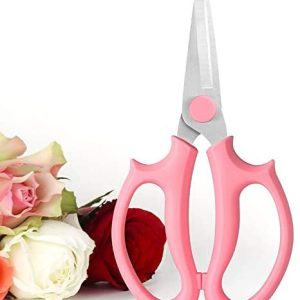 0ad36bd01091110e99a3048742e3590b Florist Scissors